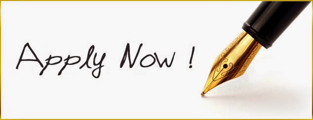 Website Design Jobs