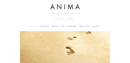 Website Design Portfolio